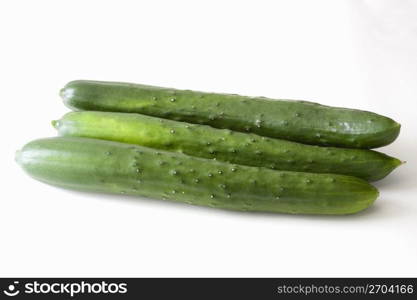 Cucumber