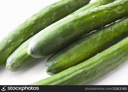 Cucumber