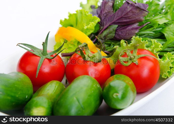 Cucumber and tomato salad in plate