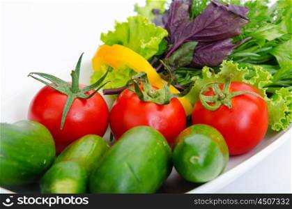 Cucumber and tomato salad in plate