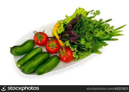 Cucumber and tomato salad in plate