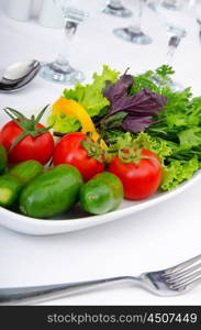 Cucumber and tomato salad in plate