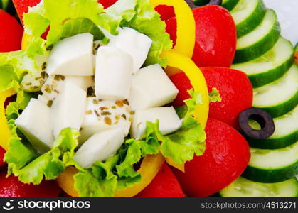 Cucumber and tomato salad in plate