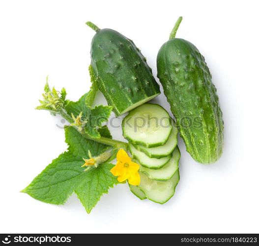 Cucumber composition isolated over white background. Fresh slices, flowers and leaves. Top view. Fresh Cucumber Composition Isolated Over White Background