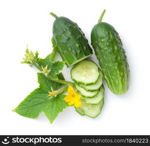 Cucumber composition isolated over white background. Fresh slices, flowers and leaves. Top view. Fresh Cucumber Composition Isolated Over White Background