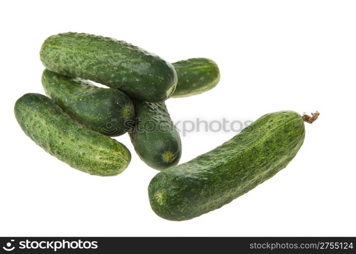 cucumber. green vegetable which grows on vines