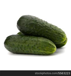cucumber isolated on white background close up