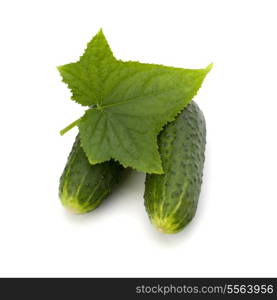 cucumber isolated on white background close up