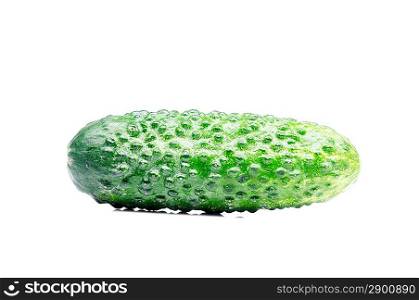 Cucumber isolated over white