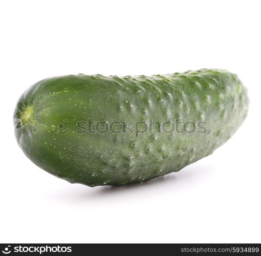 Cucumber vegetable isolated on white background cutout