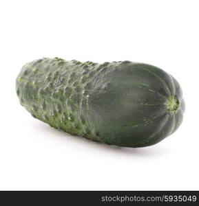 Cucumber vegetable isolated on white background cutout