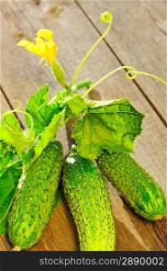 Cucumber with leafs on wooden table