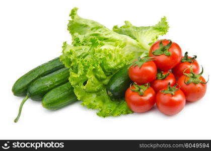 Cucumbers and tomatoes ready for salad