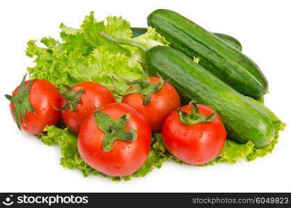 Cucumbers and tomatoes ready for salad