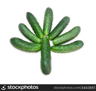 Cucumbers in the form of a green tree
