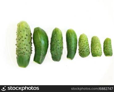 cucumbers isolated on the white background. Cucumbers of different sizes isolated on the white background