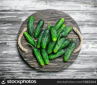 Cucumbers on a tray. On wooden background. Cucumbers on a tray.