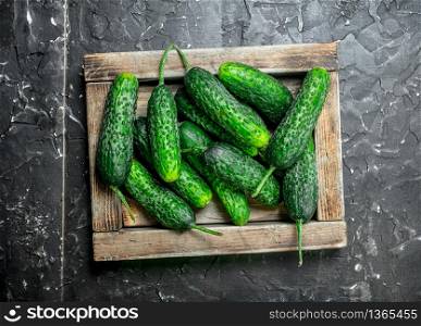 Cucumbers on a wooden tray. On black rustic background. Cucumbers on a wooden tray.