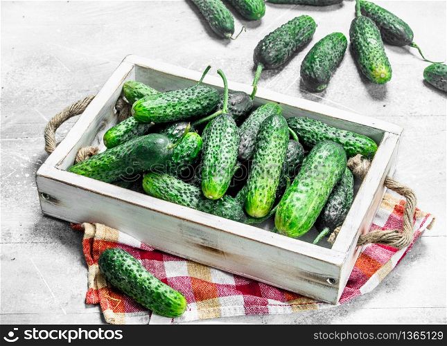 Cucumbers on a wooden tray with a napkin. On white rustic background. Cucumbers on a wooden tray with a napkin.