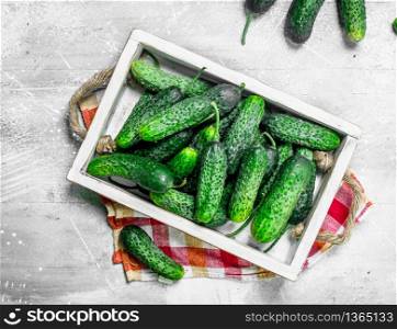 Cucumbers on a wooden tray with a napkin. On white rustic background. Cucumbers on a wooden tray with a napkin.