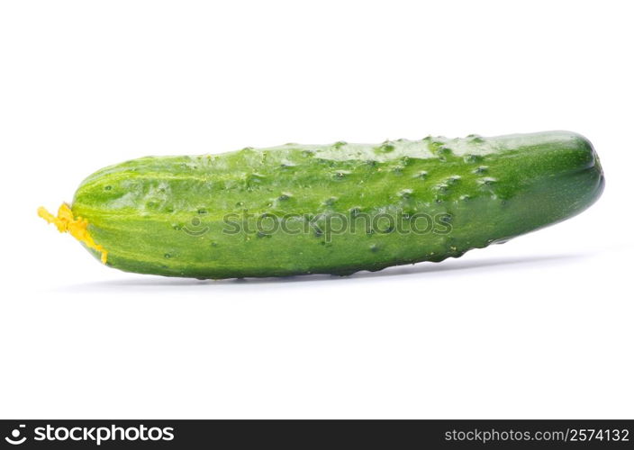 cucumbers on the white background