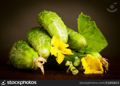 Cucumbers with flowers and green leaf on black background. Agriculture still life