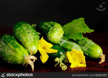 Cucumbers with flowers and green leaf on black background. Agriculture still life