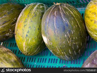 Cucumis melo box of melons
