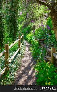 Cuenca spring forest in Canete wooden fence by the river
