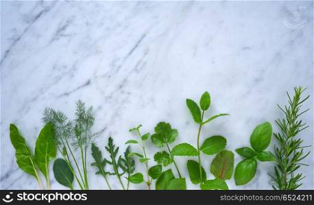 Culinary herbs rosemary fennel oregano mint basil. Culinary herbs rosemary fennel oregano mint basil chard arugulaon marble