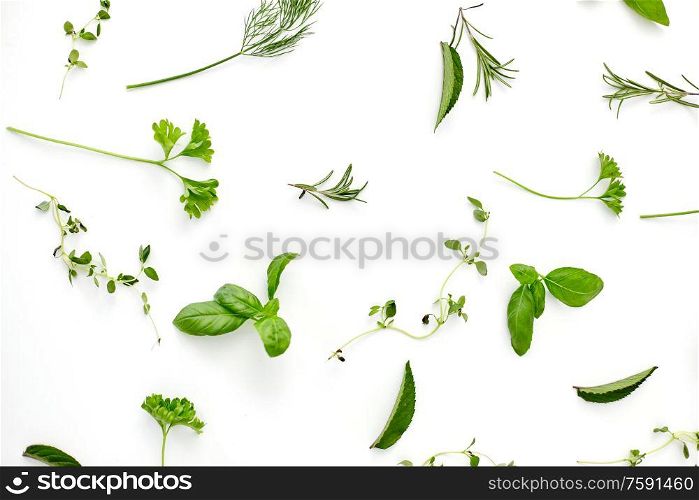culinary, seasoning and organic concept - different greens, spices or herbs on white background. greens, spices or herbs on white background
