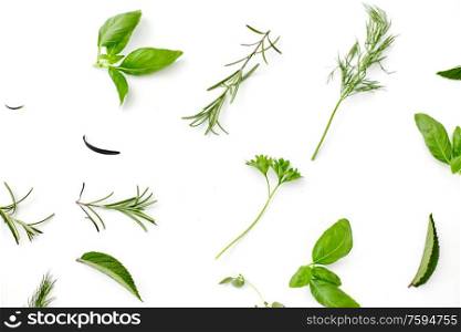 culinary, seasoning and organic concept - different greens, spices or herbs on white background. greens, spices or herbs on white background
