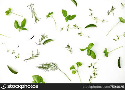 culinary, seasoning and organic concept - different greens, spices or herbs on white background. greens, spices or herbs on white background