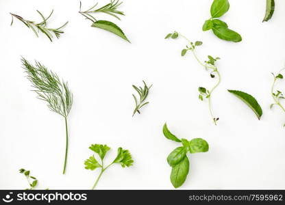 culinary, seasoning and organic concept - different greens, spices or herbs on white background. greens, spices or herbs on white background