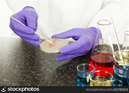 Culturing human blood in a laboratory setting.
