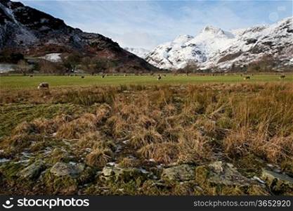 Cumbrian Landscape