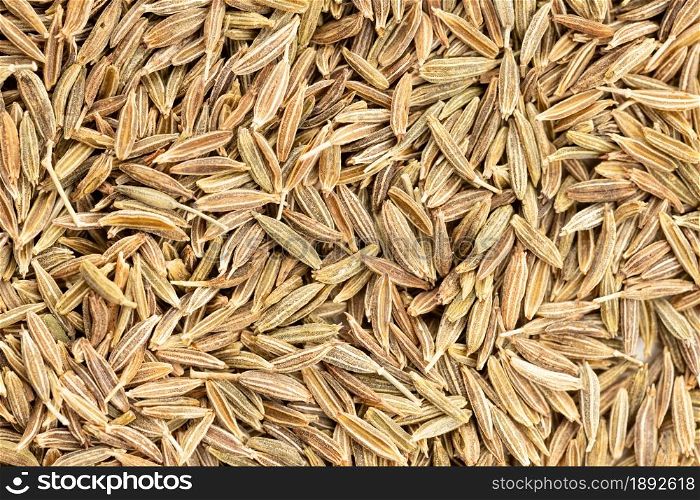 Cumin seeds background texture. Cuminum cyminum