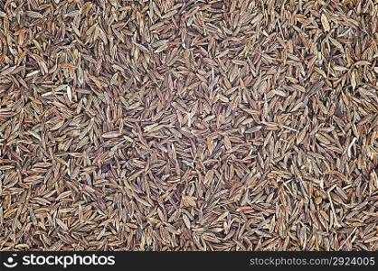 Cumin seeds for use as a background image