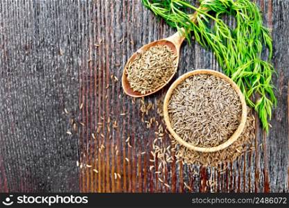 Cumin seeds in a bowl, spoon and on the table, a green sprig of caraway on wooden board background from above