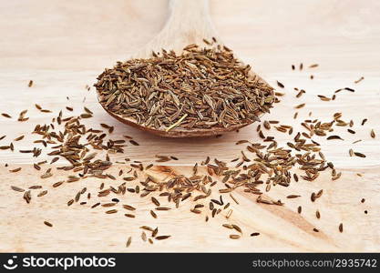 Cumin seeds on wooden serving spoon with shallow depth of field