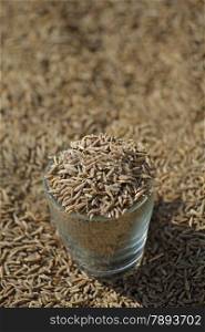 Cumin, the fruits of Cuminium cyminum at marketplace for sell