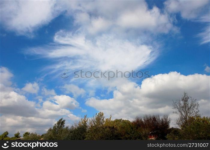 Cumulus clouds in blue sky above trees