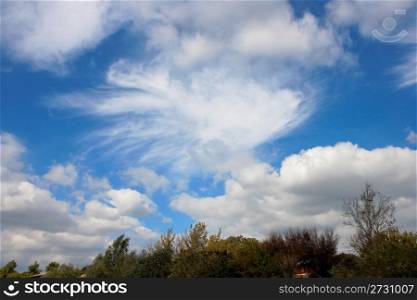 Cumulus clouds in blue sky above trees