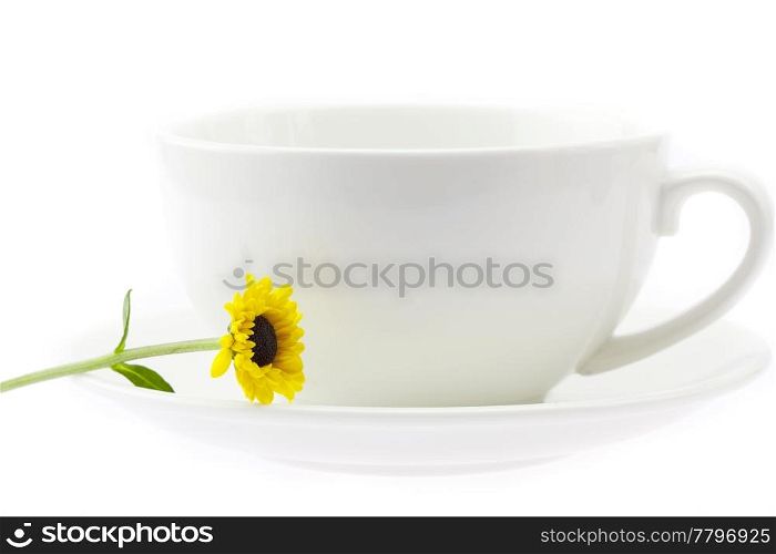 cup and flower isolated on white