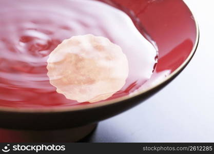 Cup and Moon and Cherry blossoms