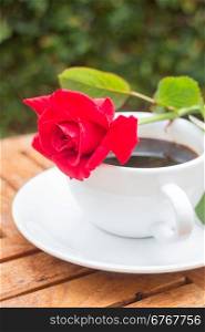 Cup of black coffee in home garden, stock photo