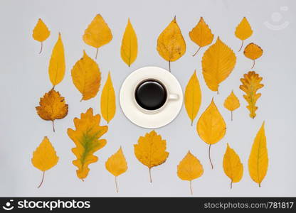 Cup of coffee and collection, set of autumn yellow leaves on gray background, fall wallpaper. Top view Flat lay Concept.. Cup of coffee and collection, set of autumn yellow leaves on gray background, fall wallpaper. Top view Flat lay Concept