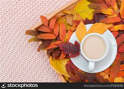Cup of coffee with milk and colorful leaves on wood tray on pink pastel knitted plaid background. Autumn cozy. Flat lay, top view, copy space.. Cup of coffee with milk and colorful leaves on wood tray on pink pastel knitted plaid background. Autumn cozy. Flat lay, top view, copy space