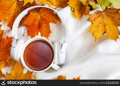 Cup of hot coffee or tea with autumn leaves and headphones on a knitted white plaid background. A Cup of hot coffee or tea with autumn leaves and headphones on a knitted white plaid background