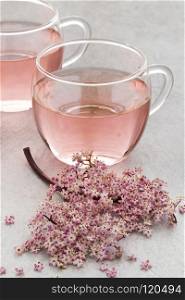 Cup of pink elderberry blossom tea and a fresh twig. Cup of pink elderberry blossom tea